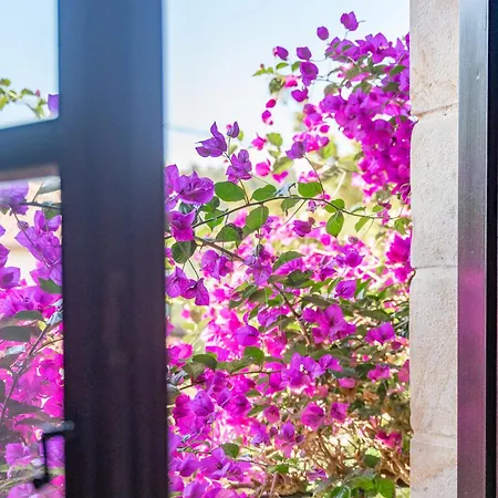 Bed and Breakfast Casa 'ohana Rioturbio