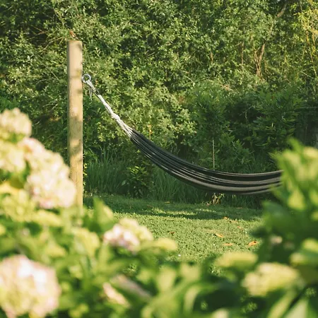 ベッド・アンド・ブレックファスト Casa 'ohana 3*