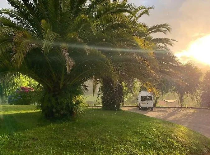 Casa 'ohana לינה וארוחת בוקר